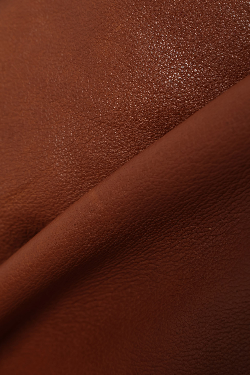 LEATHER N-2B JACKET - BROWN - 画像 (8)